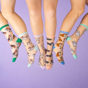 Collection de chaussettes transparentes "Ouaf" par Coucou Suzette
