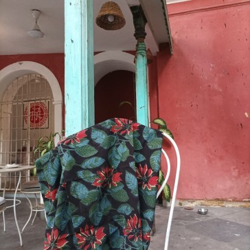 Coton indien à grandes feuilles rouille, feuilles vertes et bleues sur fond noir