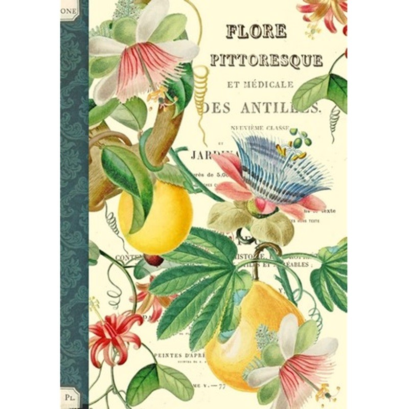 Cahier imagier Flore pittoresque par Gwenaëlle Trolez