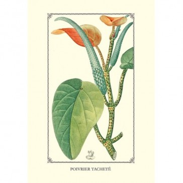 Planche intérieure du carnet illustré de fleurs de Gwenaëlle Trolez