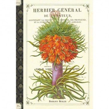 Cahier imagier "Herbier" par Gwenaëlle Trolez