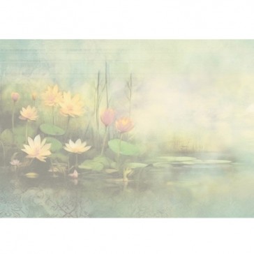 Intérieur du carnet illustré "Brume matinale" par Gwenaëlle Trolez avec nymphéas façon Monet