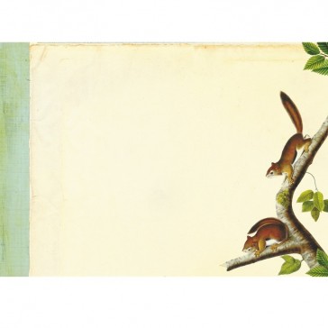 Détail intérieur du carnet illustré "La Forêt" avec écureuils par Gwenaëlle Trolez