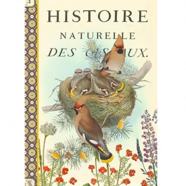 Cahier imagier "Histoire naturelle des oiseaux" par Gwenaëlle Trolez