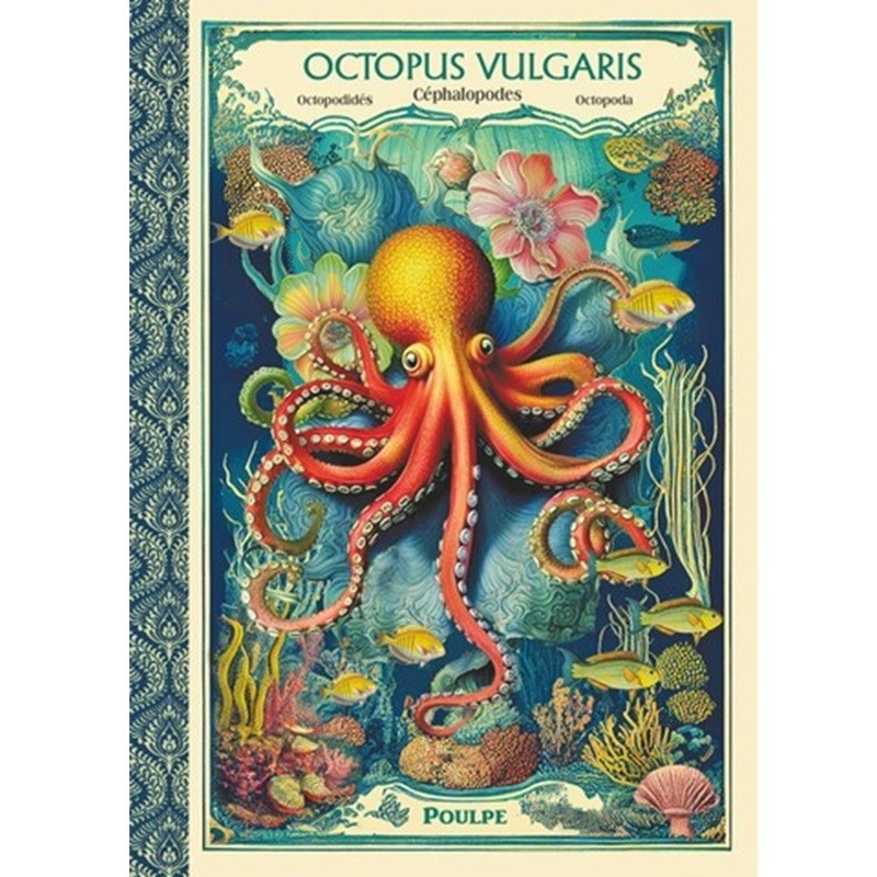 Carnet à mots de passe "Octopus" par Gwenaëlle Trolez
