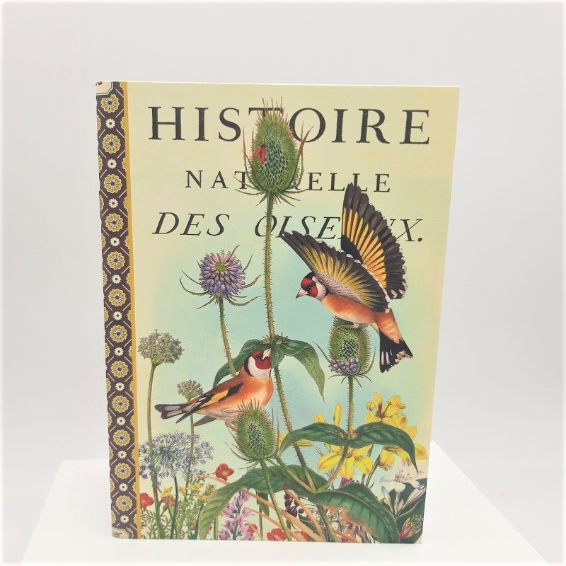 Cahier imagier "Histoire naturelle des oiseaux" par Gwenaëlle Trolez