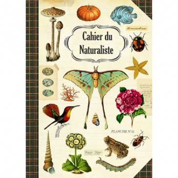 Carnet imagier "Cahier du Naturaliste" par Gwenaëlle Trolez